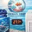 Como manter seu aquário marinho em 27.7 graus no calor do Piauí Teresina?